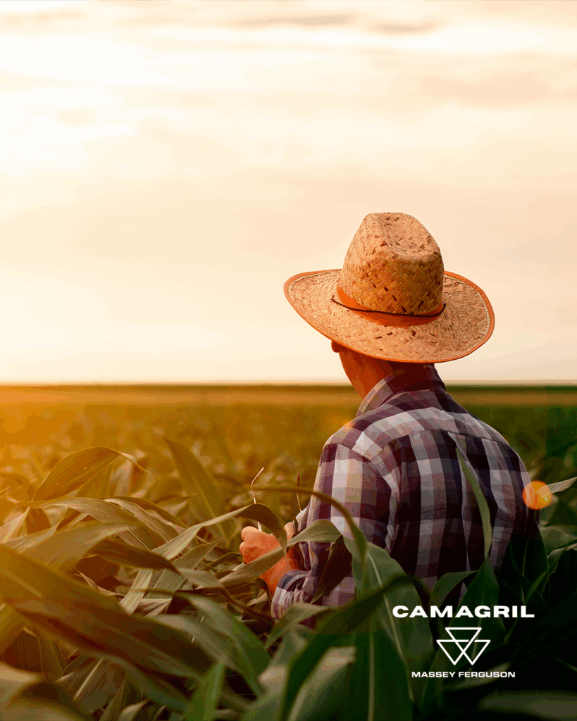 Parabéns a todos os agricultores que, com dedicação e coragem, movem o país!